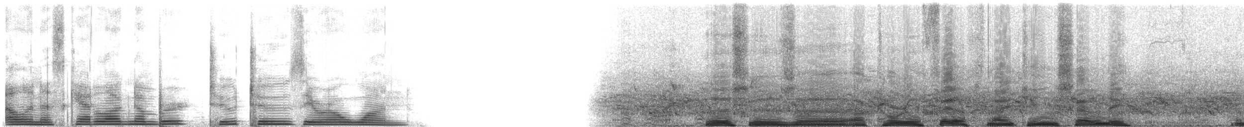 volavčík člunozobý [skupina zeledoni] - ML2201
