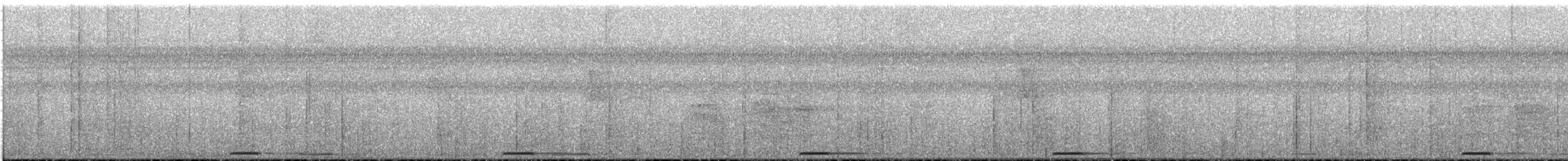 holoubek šedomodrý - ML22010071