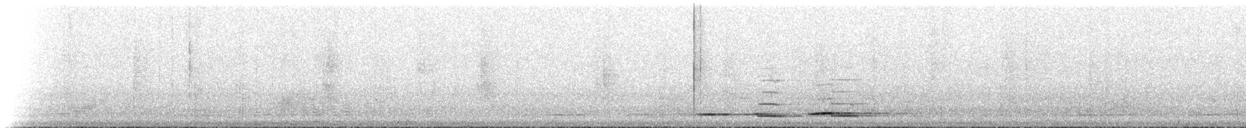 tinama vlnkovaná - ML220122
