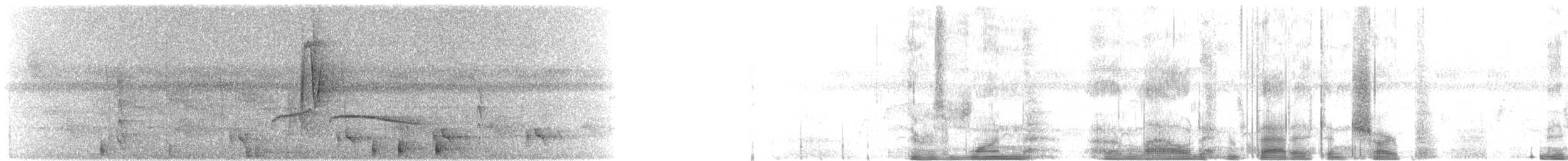 チャバラヒメアリサザイ - ML220144171