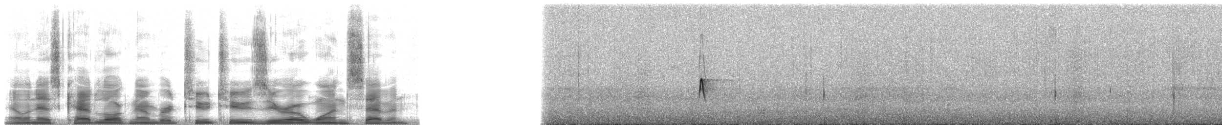 Kızıl Peru Sinekkapanı - ML22017