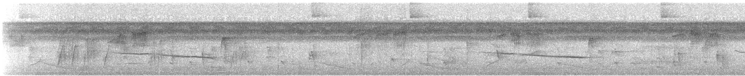 Braunbauch-Ameisenschlüpfer - ML220180521