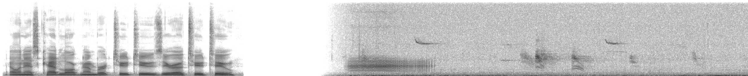 kragemaurvarsler (bernardi) - ML22022
