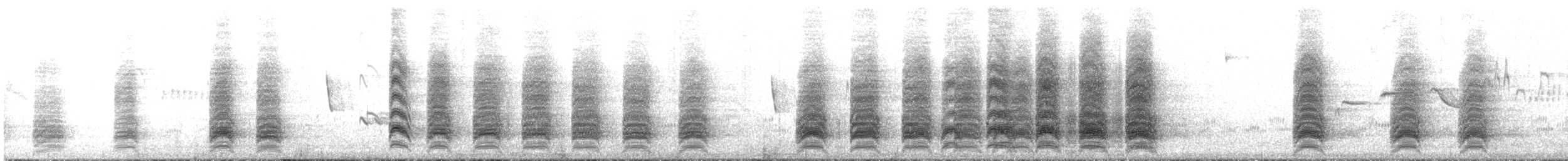 graveparakitt (andinus) - ML220238