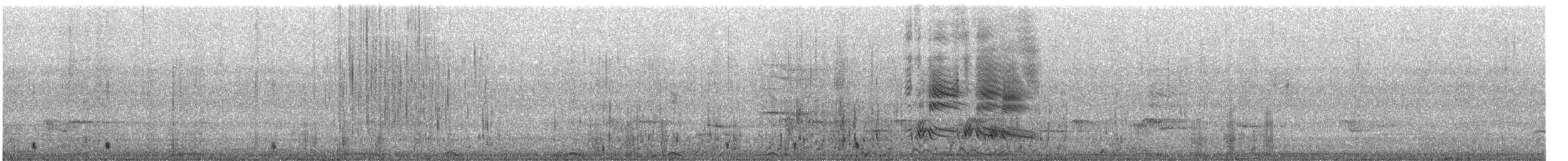 Common Merganser (North American) - ML220269051