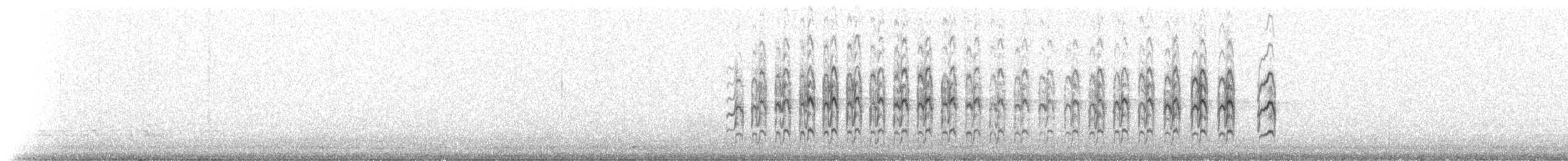 spurvefalk (cinnamominus gr.) - ML220294