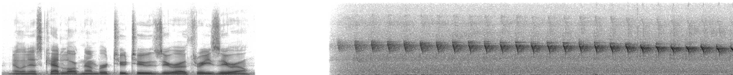 Trepatroncos Turdino (turdina) - ML22030