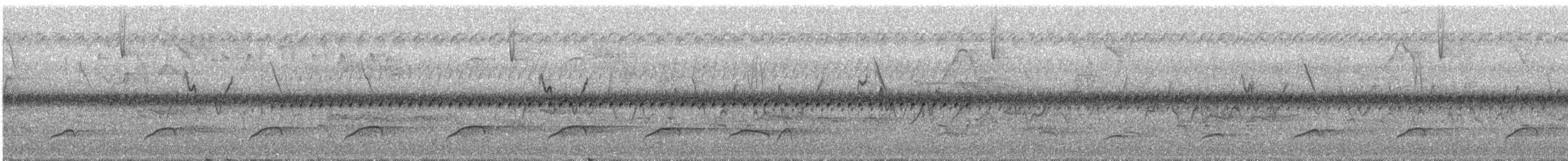 Ockerattilatyrann - ML220304961