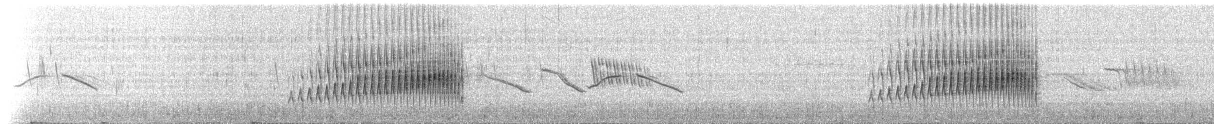 Streak-backed Canastero (Puna) - ML220328