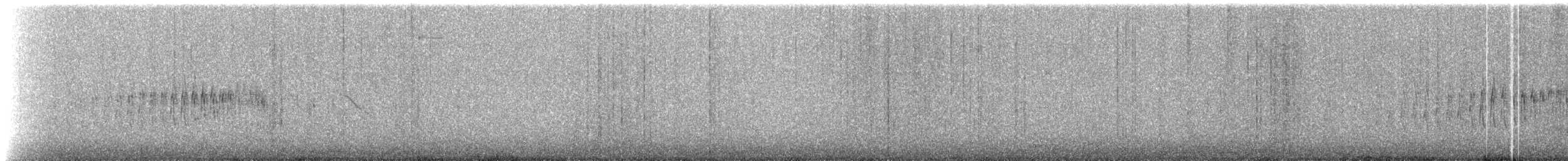 Streak-backed Canastero (Puna) - ML220329