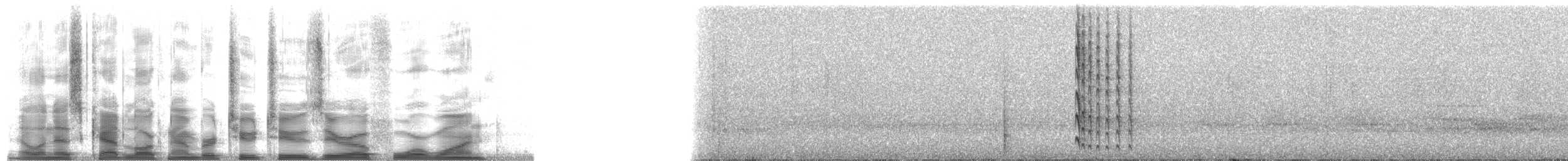 Тиран-інка буроголовий - ML22041