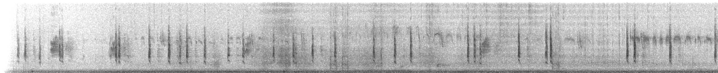 Magellangilbtangare - ML220417