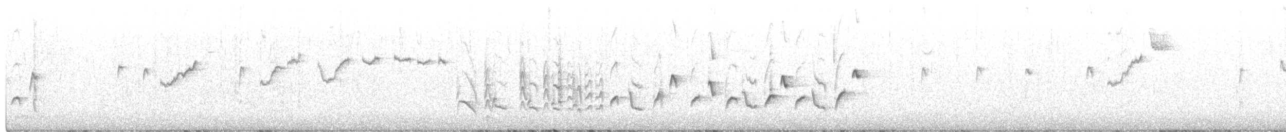 Reyezuelo Rubí - ML220417161