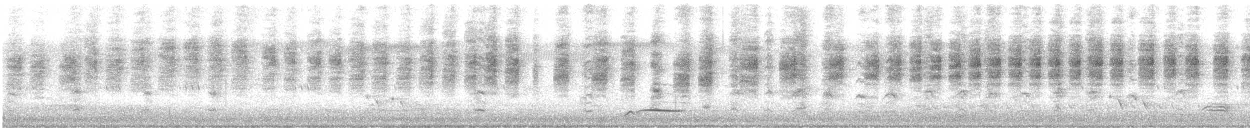 Кущовик білочеревий (підвид laevigaster) - ML220449011