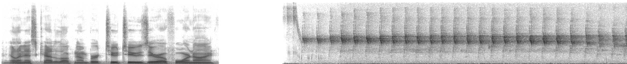 trostetreløper (turdina) - ML22049