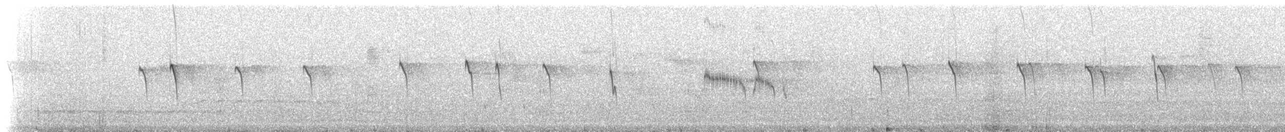 ハイゴシハリオアマツバメ（cinereiventris） - ML220494