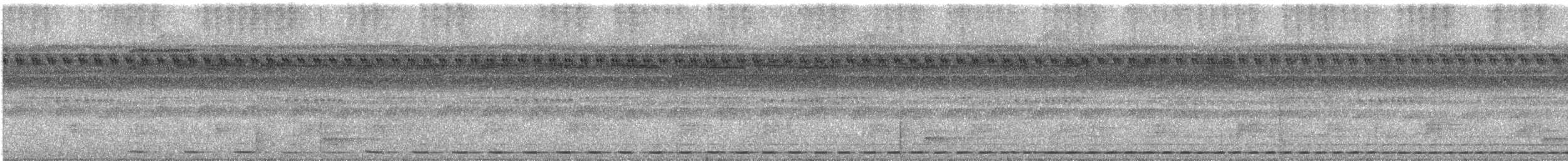 Striated Antthrush - ML220514021