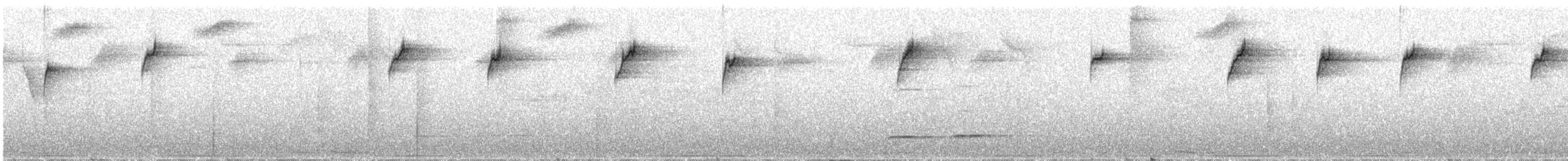 ノドジロキリハシハチドリ - ML220515691