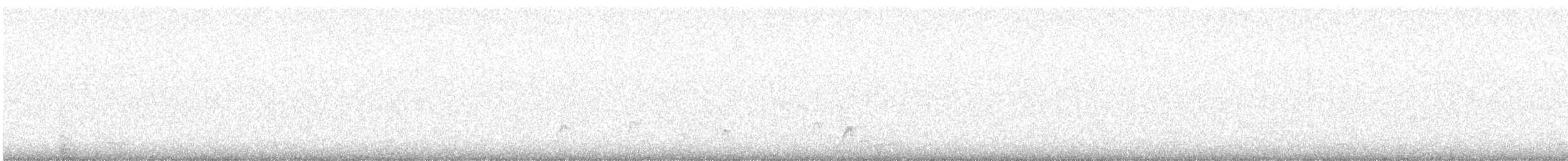 Canard siffleur - ML220524801