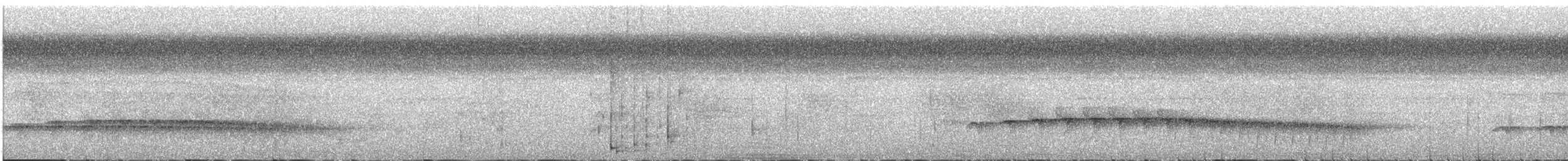 Kara Kuyruklu Karıncakuşu - ML220555591