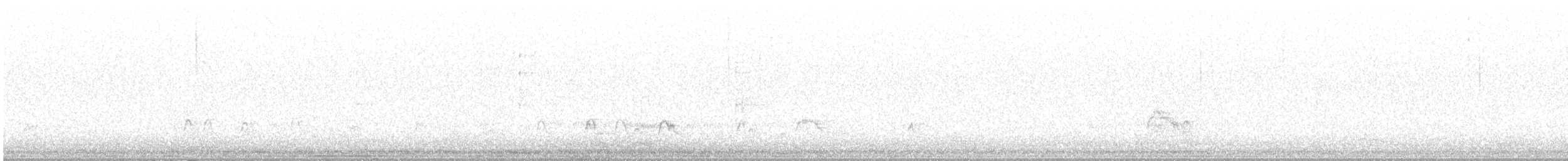Canard siffleur - ML220569001
