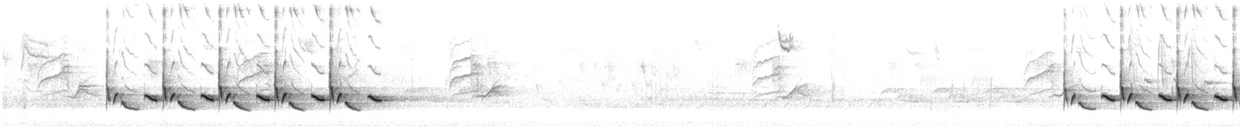 チャバラマユミソサザイ - ML220578201
