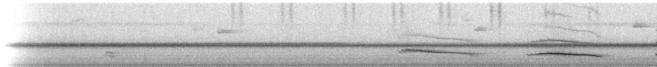 Кокоа плямистий [група aequatorialis] - ML220599