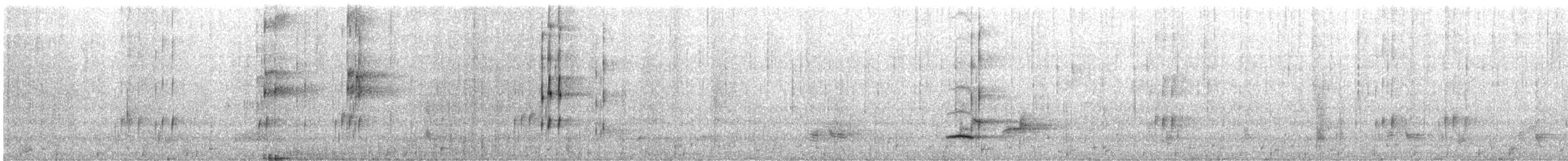 Gray-lored Broadbill - ML220626221