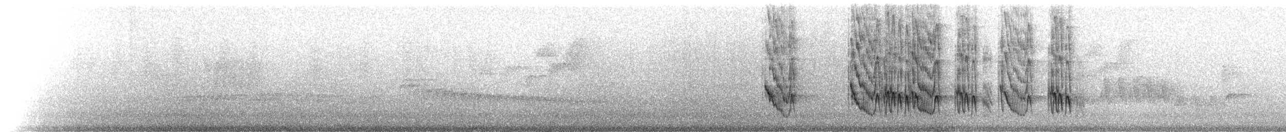 Pabuç Gagalı Tiran [mexicanus grubu] - ML220631