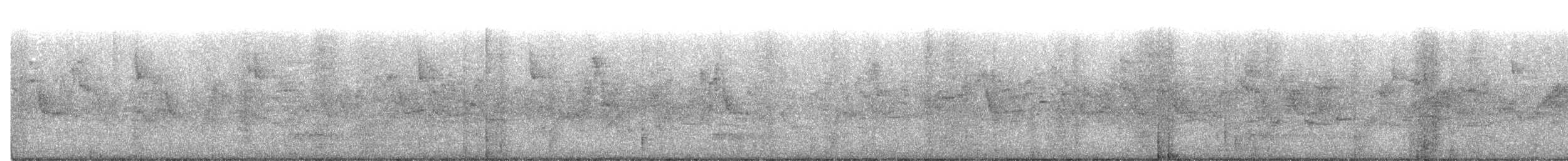 Tibetan Serin - ML220659971