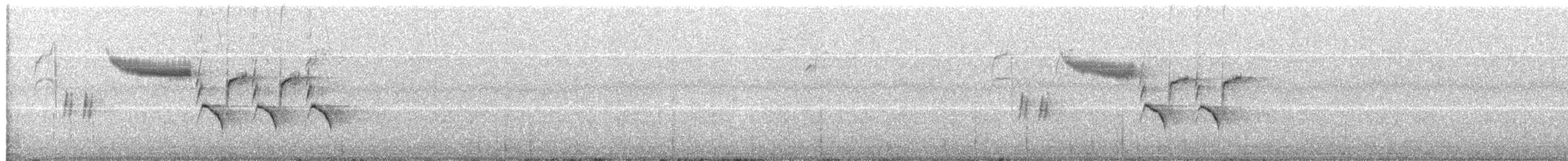 Bewick's Wren - ML220687321
