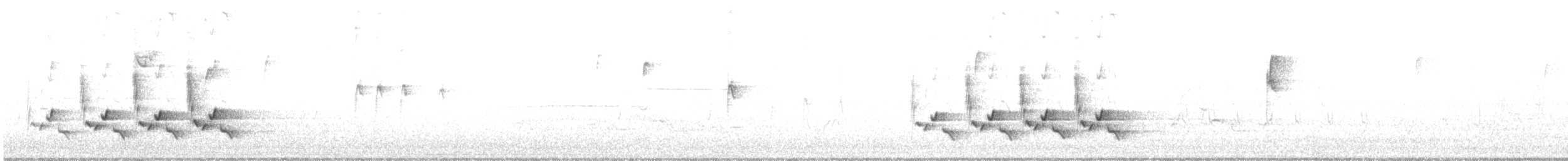 Поплітник каролінський - ML220722641