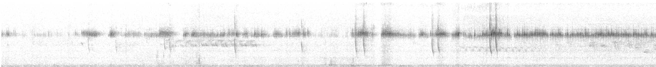 Geniş Kuyruklu Kolibri - ML220760691