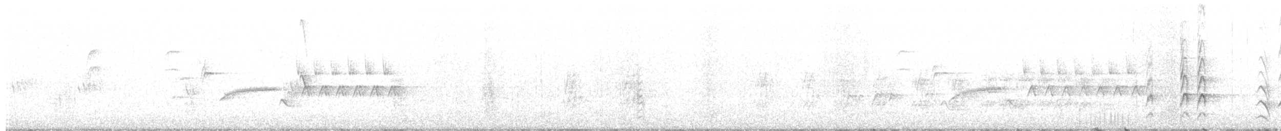 Белокрылый трупиал - ML220792661