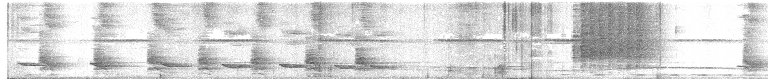 Spotted Kingfisher - ML220823981