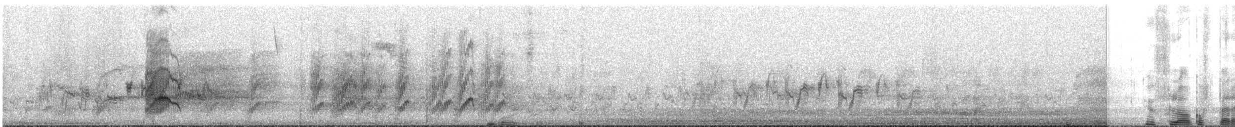 オウム目（インコ科 小さな種） - ML220835101
