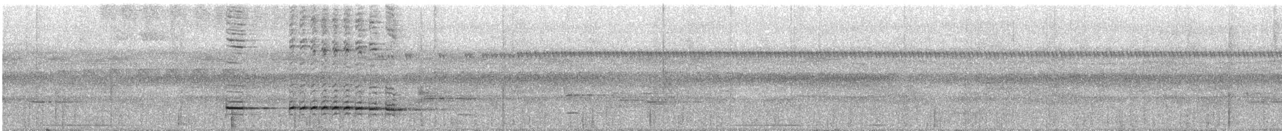 svartstrupemaurrikse (analis gr.) - ML220839161