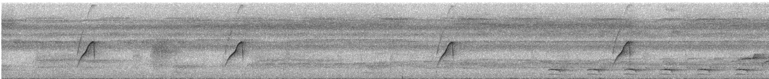 blåkronemanakin (coronata gr.) - ML220839241