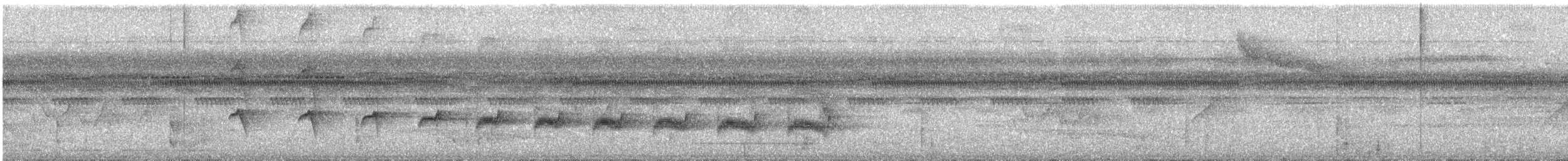 Gelbbrauen-Ameisenschnäpper - ML220841921