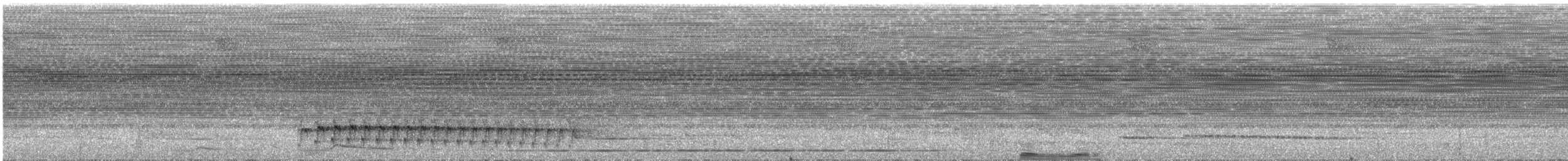 Grisin sombre (saturatior/vicina) - ML220867811