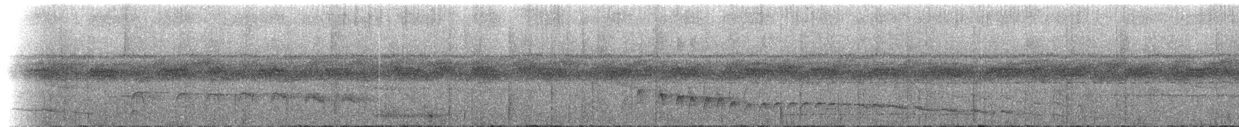 amazonvatretreløper (juruanus/polyzonus) - ML220881