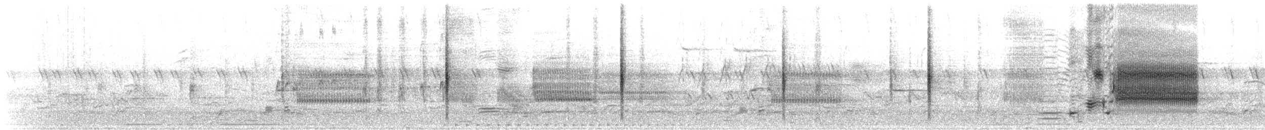 Al Kanatlı Karatavuk [phoeniceus grubu] - ML220959971