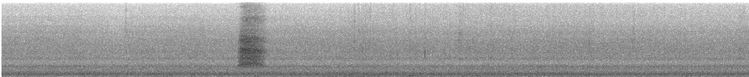 Slender-billed Oriole - ML220981501