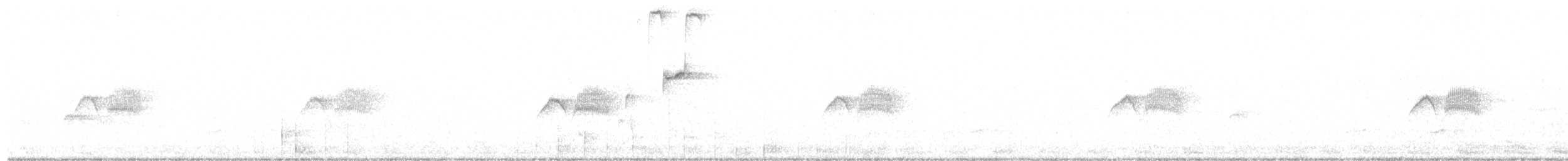 Weißbauch-Phoebetyrann - ML220985121