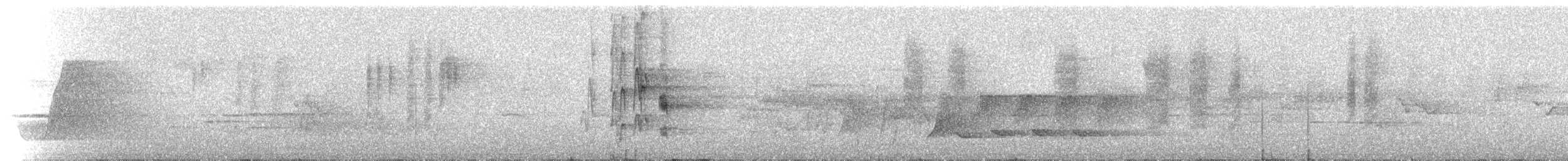 Méliphage de Hindwood - ML221015