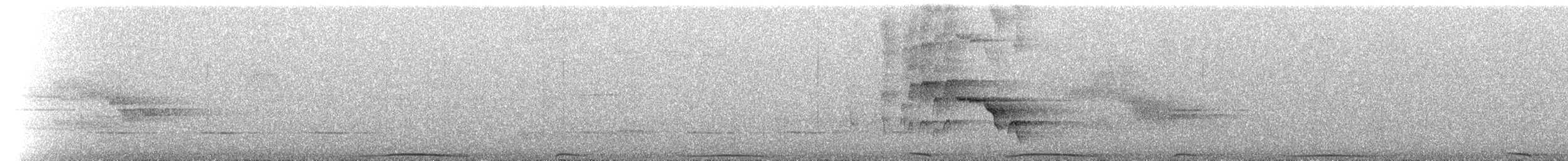 Méliphage de Hindwood - ML221021