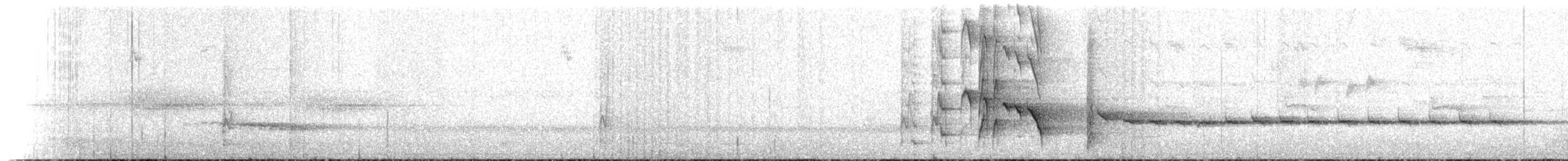 Méliphage de Hindwood - ML221028