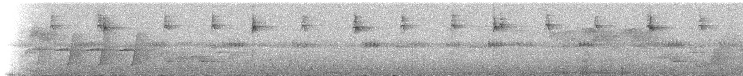 Méliphage de Hindwood - ML221031