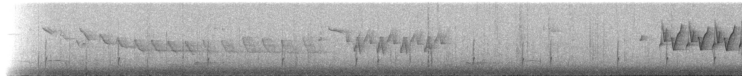 White-browed Nuthatch - ML221069