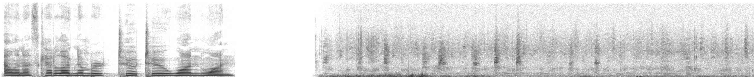 Большая белая цапля (egretta) - ML2211